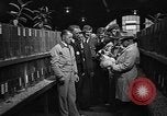 Standbild kanadische Volk Toronto Ontario Kanada, 1940, aus Sekunde 10 historischem Filmmaterial Videoclip 65675046157
