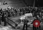 Standbild kanadische Volk Toronto Ontario Kanada, 1940, aus Sekunde 26 historischem Filmmaterial Videoclip 65675046157
