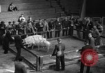 Standbild kanadische Volk Toronto Ontario Kanada, 1940, aus Sekunde 29 historischem Filmmaterial Videoclip 65675046157
