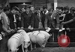 Standbild kanadische Volk Toronto Ontario Kanada, 1940, aus Sekunde 30 historischem Filmmaterial Videoclip 65675046157