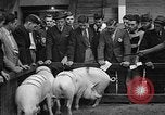 Standbild kanadische Volk Toronto Ontario Kanada, 1940, aus Sekunde 31 historischem Filmmaterial Videoclip 65675046157