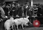 Standbild kanadische Volk Toronto Ontario Kanada, 1940, aus Sekunde 32 historischem Filmmaterial Videoclip 65675046157
