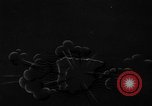 Image of German bombers over France Western Europe, 1940, second 1 stock footage video 65675046168