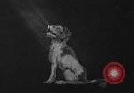 Image Airedale Del Monte California USA, 1941, de la seconde 1 séquences d'archives historiques vidéo 65675046182