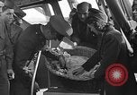 Image Airedale Del Monte California USA, 1941, de la seconde 8 séquences d'archives historiques vidéo 65675046182