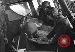 Image Airedale Del Monte California USA, 1941, de la seconde 9 séquences d'archives historiques vidéo 65675046182