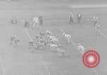 Standbild Fußballspiel Baltimore Maryland USA, 1941, aus Sekunde 40 historischem Filmmaterial Videoclip 65675046191