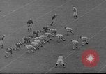 Image match de football Evanston Illinois USA, 1941, de la seconde 36 séquences d'archives historiques vidéo 65675046192