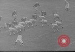 Image match de football Evanston Illinois USA, 1941, de la seconde 44 séquences d'archives historiques vidéo 65675046192