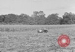 Standbild Präsident Franklin Roosevelt Georgia USA, 1936, aus Sekunde 1 historischem Filmmaterial Videoclip 65675046212