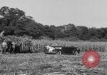 Standbild Präsident Franklin Roosevelt Georgia USA, 1936, aus Sekunde 7 historischem Filmmaterial Videoclip 65675046212