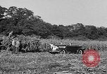 Standbild Präsident Franklin Roosevelt Georgia USA, 1936, aus Sekunde 8 historischem Filmmaterial Videoclip 65675046212