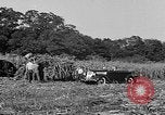 Standbild Präsident Franklin Roosevelt Georgia USA, 1936, aus Sekunde 9 historischem Filmmaterial Videoclip 65675046212