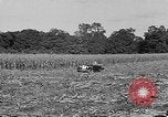 Standbild Präsident Franklin Roosevelt Georgia USA, 1936, aus Sekunde 10 historischem Filmmaterial Videoclip 65675046212
