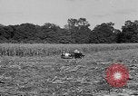 Standbild Präsident Franklin Roosevelt Georgia USA, 1936, aus Sekunde 11 historischem Filmmaterial Videoclip 65675046212