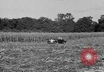 Standbild Präsident Franklin Roosevelt Georgia USA, 1936, aus Sekunde 12 historischem Filmmaterial Videoclip 65675046212
