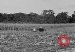 Standbild Präsident Franklin Roosevelt Georgia USA, 1936, aus Sekunde 13 historischem Filmmaterial Videoclip 65675046212