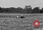 Standbild Präsident Franklin Roosevelt Georgia USA, 1936, aus Sekunde 14 historischem Filmmaterial Videoclip 65675046212