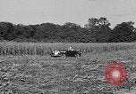 Standbild Präsident Franklin Roosevelt Georgia USA, 1936, aus Sekunde 15 historischem Filmmaterial Videoclip 65675046212