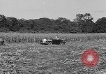 Standbild Präsident Franklin Roosevelt Georgia USA, 1936, aus Sekunde 16 historischem Filmmaterial Videoclip 65675046212