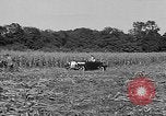 Standbild Präsident Franklin Roosevelt Georgia USA, 1936, aus Sekunde 17 historischem Filmmaterial Videoclip 65675046212