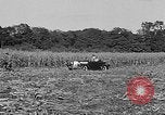 Standbild Präsident Franklin Roosevelt Georgia USA, 1936, aus Sekunde 18 historischem Filmmaterial Videoclip 65675046212