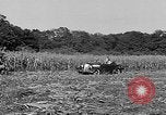 Standbild Präsident Franklin Roosevelt Georgia USA, 1936, aus Sekunde 22 historischem Filmmaterial Videoclip 65675046212