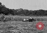 Standbild Präsident Franklin Roosevelt Georgia USA, 1936, aus Sekunde 23 historischem Filmmaterial Videoclip 65675046212