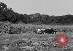 Standbild Präsident Franklin Roosevelt Georgia USA, 1936, aus Sekunde 24 historischem Filmmaterial Videoclip 65675046212