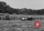 Standbild Präsident Franklin Roosevelt Georgia USA, 1936, aus Sekunde 25 historischem Filmmaterial Videoclip 65675046212