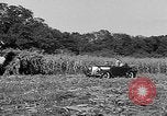 Standbild Präsident Franklin Roosevelt Georgia USA, 1936, aus Sekunde 26 historischem Filmmaterial Videoclip 65675046212