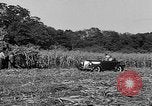 Standbild Präsident Franklin Roosevelt Georgia USA, 1936, aus Sekunde 28 historischem Filmmaterial Videoclip 65675046212