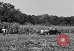 Standbild Präsident Franklin Roosevelt Georgia USA, 1936, aus Sekunde 30 historischem Filmmaterial Videoclip 65675046212