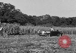 Standbild Präsident Franklin Roosevelt Georgia USA, 1936, aus Sekunde 32 historischem Filmmaterial Videoclip 65675046212