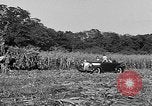 Standbild Präsident Franklin Roosevelt Georgia USA, 1936, aus Sekunde 33 historischem Filmmaterial Videoclip 65675046212