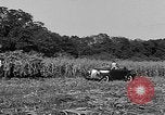 Standbild Präsident Franklin Roosevelt Georgia USA, 1936, aus Sekunde 35 historischem Filmmaterial Videoclip 65675046212