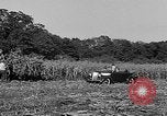 Standbild Präsident Franklin Roosevelt Georgia USA, 1936, aus Sekunde 36 historischem Filmmaterial Videoclip 65675046212