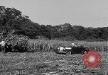Standbild Präsident Franklin Roosevelt Georgia USA, 1936, aus Sekunde 37 historischem Filmmaterial Videoclip 65675046212