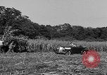 Standbild Präsident Franklin Roosevelt Georgia USA, 1936, aus Sekunde 38 historischem Filmmaterial Videoclip 65675046212