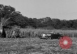 Standbild Präsident Franklin Roosevelt Georgia USA, 1936, aus Sekunde 39 historischem Filmmaterial Videoclip 65675046212