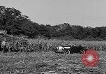 Standbild Präsident Franklin Roosevelt Georgia USA, 1936, aus Sekunde 41 historischem Filmmaterial Videoclip 65675046212