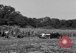 Standbild Präsident Franklin Roosevelt Georgia USA, 1936, aus Sekunde 43 historischem Filmmaterial Videoclip 65675046212