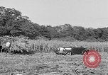 Standbild Präsident Franklin Roosevelt Georgia USA, 1936, aus Sekunde 44 historischem Filmmaterial Videoclip 65675046212