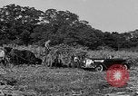 Standbild Präsident Franklin Roosevelt Georgia USA, 1936, aus Sekunde 45 historischem Filmmaterial Videoclip 65675046212