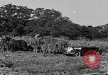 Standbild Präsident Franklin Roosevelt Georgia USA, 1936, aus Sekunde 47 historischem Filmmaterial Videoclip 65675046212