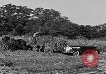 Standbild Präsident Franklin Roosevelt Georgia USA, 1936, aus Sekunde 48 historischem Filmmaterial Videoclip 65675046212