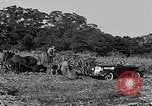Standbild Präsident Franklin Roosevelt Georgia USA, 1936, aus Sekunde 49 historischem Filmmaterial Videoclip 65675046212