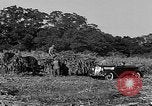 Standbild Präsident Franklin Roosevelt Georgia USA, 1936, aus Sekunde 53 historischem Filmmaterial Videoclip 65675046212
