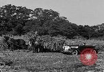 Standbild Präsident Franklin Roosevelt Georgia USA, 1936, aus Sekunde 55 historischem Filmmaterial Videoclip 65675046212