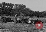 Standbild Präsident Franklin Roosevelt Georgia USA, 1936, aus Sekunde 58 historischem Filmmaterial Videoclip 65675046212
